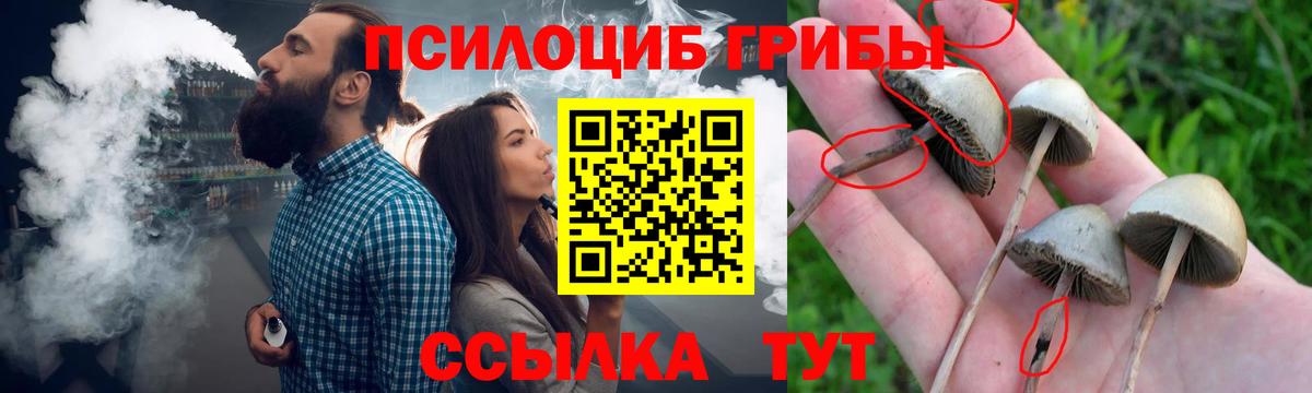 Псилоцибиновые грибы ЛСД Великий Устюг